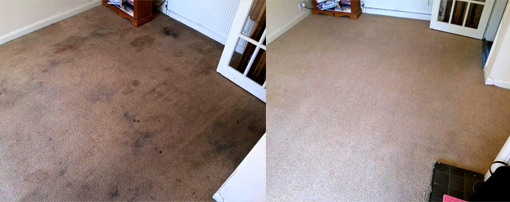rug washing